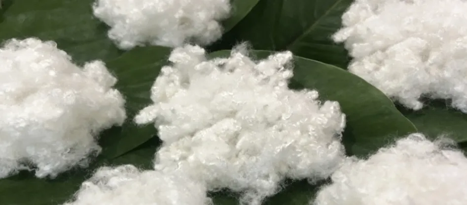 Polyester sentetik bir lif midir? Bilmeniz Gereken Bir Şey