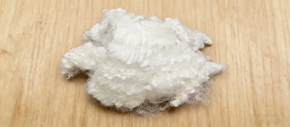 Virgin Conjugate Fiber nedir?